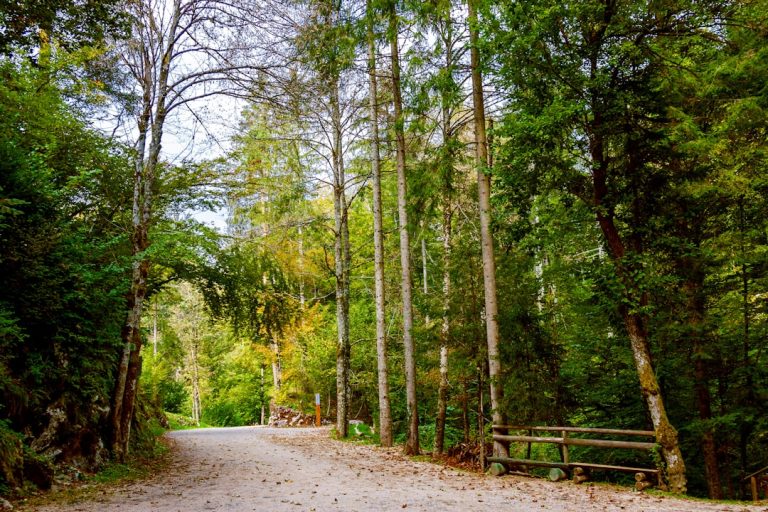 Exploring the Great Outdoors: A Journey Through Budget-Friendly Adventures